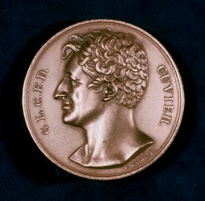Georges Leopold Chretien Frederic Dagobert, baron Cuvier, francouzský anatom, 19. od Unbekannt