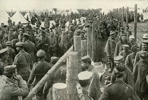 Němečtí vězni vstupující do klecí, 1919. od Unbekannt