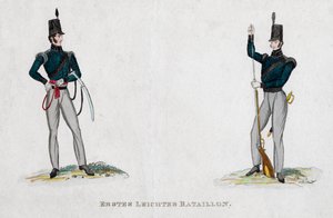 Němečtí vojáci z období Waterloo, 19. století od Unbekannt