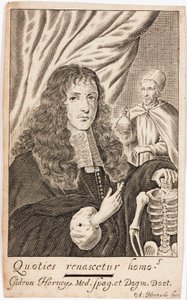 Gideon Harvey, anglický lékař od Unbekannt