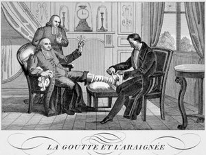 Dna a pavouk, c1835 od Unbekannt