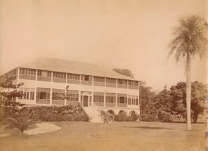 Government House, poblíž Kingstonu, Jamajka c20. století. od Unbekannt
