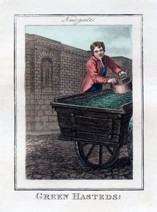 Green Hasteds, Newgate, Londýn, 1805 od Unbekannt