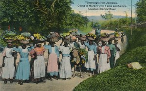 Pozdrav z Jamajky. Jít na trh s jamy a holemi. Constant Spring Road, 1913. od Unbekannt