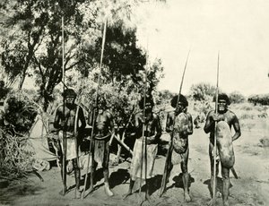 Skupina domorodých mužů, Queensland, Austrálie, 1901. od Unbekannt