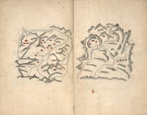 Haedong vášeň. Hosŏ chŏndo. od Unbekannt