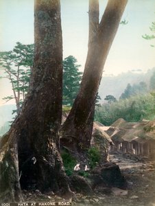 Hata na Hakone Road, Japonsko, počátek 20. století od Unbekannt
