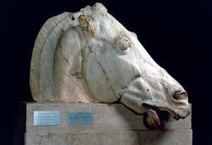Hlava koně z vozu Selene z východního štítu Parthenonu, 447-432 př.nl od Unbekannt