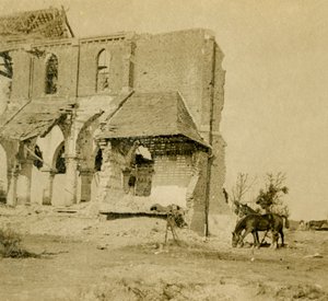 Koně pasoucí se poblíž zničeného kostela, Frise, severní Francie, c1914-c1918 od Unbekannt