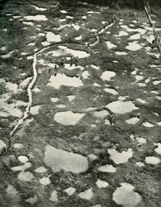 Jak počasí bránilo postupu, 1919. od Unbekannt