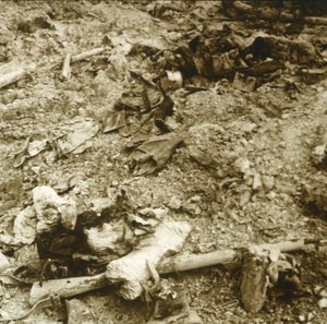 Lidské pozůstatky, Verdun, severní Francie, c1914-c1918 od Unbekannt