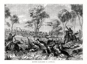 Lov klokanů, Austrálie, 1877 od Unbekannt