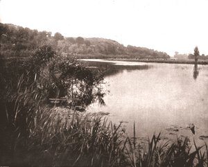 Hurley Reach, řeka Temže mezi Bisham a Medmenham, Buckinghamshire, 1894. od Unbekannt