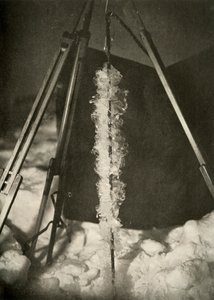 Ledové krystaly vytvořené na linii pasti na ryby, c1908, 1909 od Unbekannt