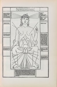 Ilustrace z Fasciculo di medicina od Johannese de Ketham, 1493. od Unbekannt