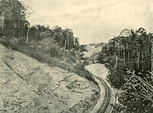 V pohoří Blackall, 1901. od Unbekannt