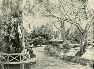 V botanické zahradě, Adelaide, 1901. od Unbekannt