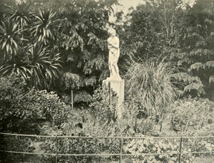 V zahradách Fitzroy, Melbourne, 1901. od Unbekannt
