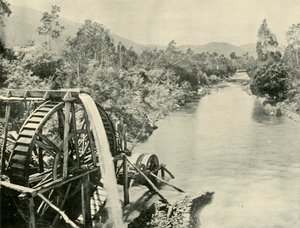 In the Ovens River, Germantown, 1901. od Unbekannt
