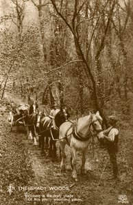 Ve Shady Woods, konec 19. nebo začátek 20. století od Unbekannt
