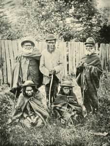 Domorodí obyvatelé Západní Austrálie, 1901. od Unbekannt