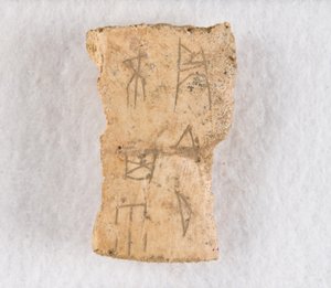 Vepsaný fragment kosti věštecká kost, pozdní dynastie Shang, ca. 1300-1050 př.nl. od Unbekannt