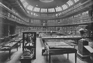 Interiér Geologického muzea, Jermyn Street, 1904 od Unbekannt