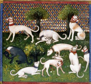 Jagdhunde (Alan) / Kniha lovu od Unbekannt