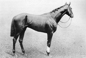 Džidda, 1895-1909, 1911 od Unbekannt