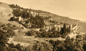 Jeruzalém – Getsemany, c1918-c1939. od Unbekannt