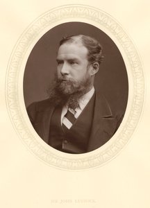 John Lubbock, první baron Avebury, anglický bankéř, archeolog, přírodovědec a politik, c1880 od Unbekannt