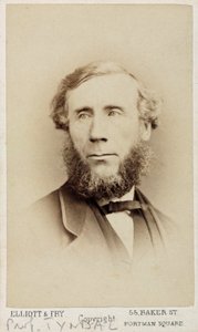 John Tyndall, irský fyzik, c 1875 od Unbekannt