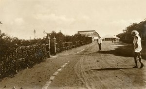 Promenáda Jopp, Aden, c1918-c1939. od Unbekannt