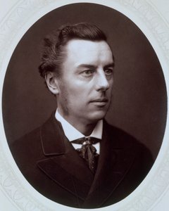 Joseph Chamberlain , britský liberální politik, c1885. od Unbekannt