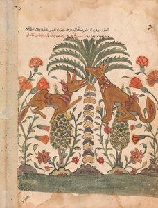 Kalila Upbraiding Dimna, Folio z Kalila wa Dimna, 18. století. od Unbekannt
