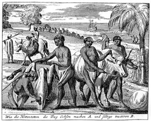 Khoikhoisové vloupání volů, Jižní Afrika, 18. století 1931 od Unbekannt