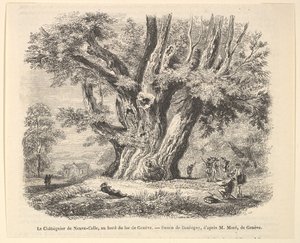 Kaštanovník Neuve-Celle, na břehu Ženevského jezera, po Daubigny, 1835-78. od Unbekannt