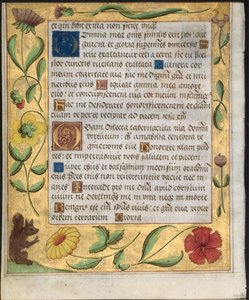 List ze žaltáře a modlitební knížky: Ornamentální hranice s květinami a veverkou, c. 1524. od Unbekannt