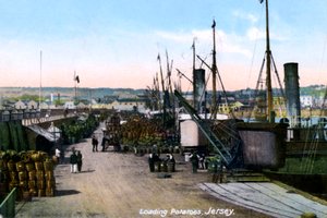 Loading Potatoes, Jersey, 1908 od Unbekannt