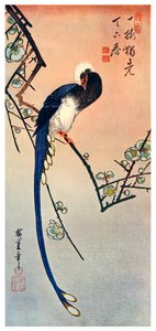 Dlouhoocasý modrý pták na větvi Plum Tree in Blossom, 19. století 1925 od Unbekannt