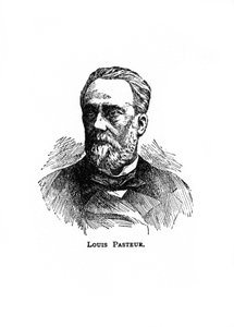 Louis Pasteur, francouzský mikrobiolog a chemik 19. století, 20. století od Unbekannt