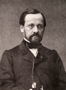 Louis Pasteur, francouzský mikrobiolog a chemik, 19. století od Unbekannt