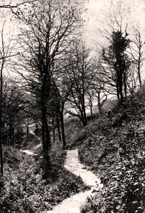 Lovers Lane, Fairlight, Hastings, Sussex od Unbekannt