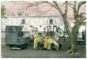 Stánek na oběd ve veřejném parku, Japonsko, 1904 od Unbekannt
