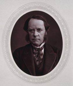 Lyon Playfair, Baron St Andrews, skotský chemik a politik, c 1870 od Unbekannt