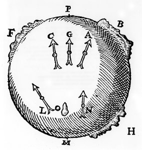 Magnetismus, 1600 od Unbekannt