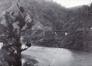 Manawatu Gorge, konec 19.-začátek 20. století. od Unbekannt