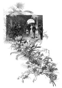Mužná výstava divokých květin, Sydney, Nový Jižní Wales, Austrálie, 1886 od Unbekannt
