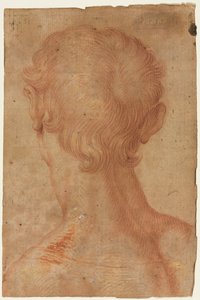 Mans Head zezadu, 16. století. od Unbekannt