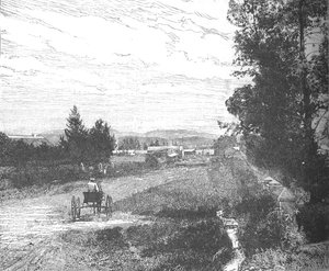 Market Street, Pretoria, c1880 od Unbekannt